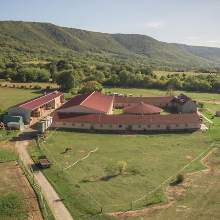 Totvar Lovas Szallashely Kovagotottos Exterior photo