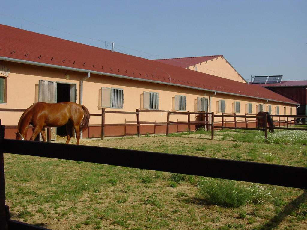 Totvar Lovas Szallashely Kovagotottos Exterior photo